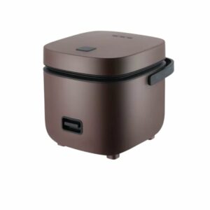 Mini cuiseur de riz portable avec accessoires