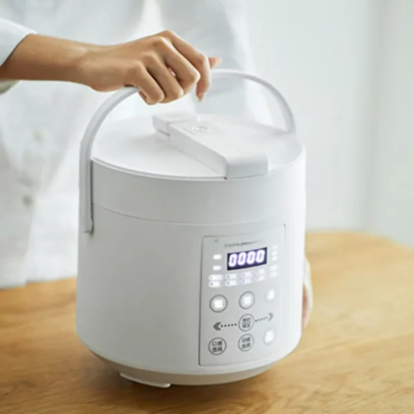 Mini cuiseur à riz en céramique 2l