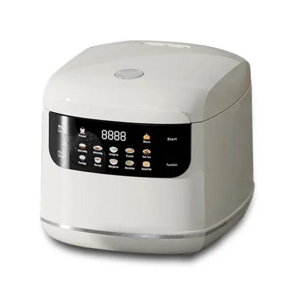Multicuiseur électrique 2l